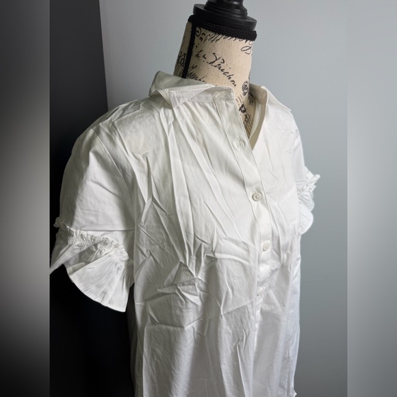 J.Crew Amelia shirtdress in cotton poplin NWT Size M - Picture 3 of 8